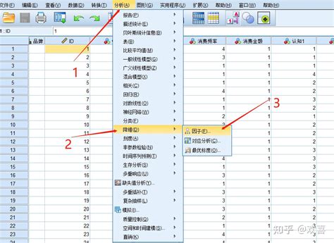 高狹峰低闊峰|偏態與峰度【SPSS